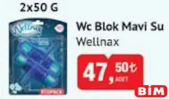 WELLNAX WC BLOK MAVİ SU 2X50 G fiyat ve kampanya bilgisi